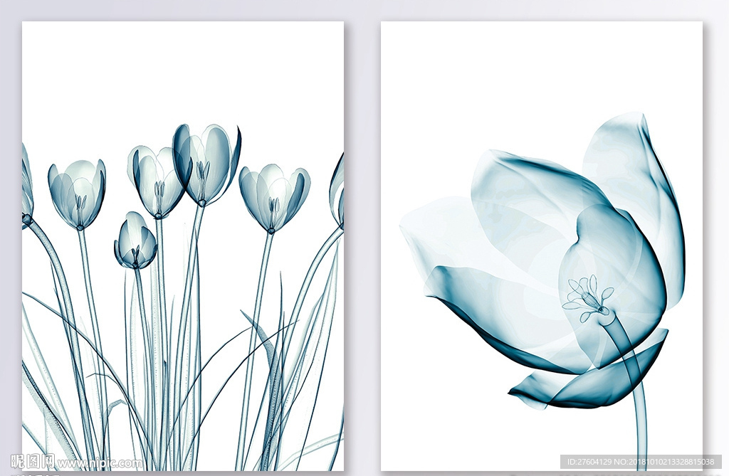 植物花卉装饰画