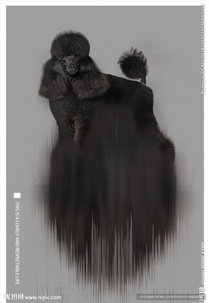 抽象动物狗装饰画