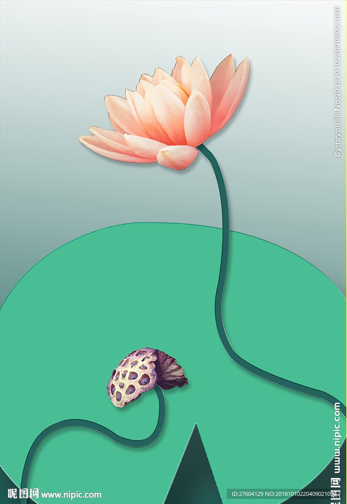 唯美粉色荷花莲子装饰画