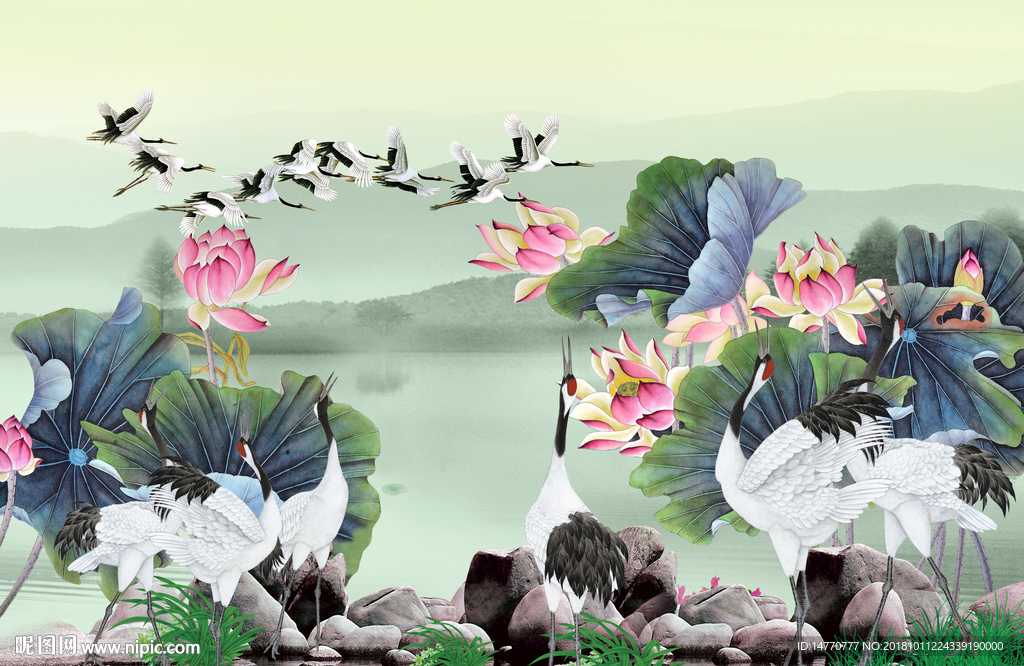 荷花国画