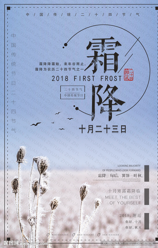 简约文艺霜降24二十四节气海报