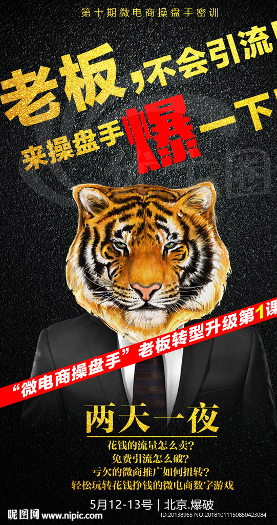 动物海报