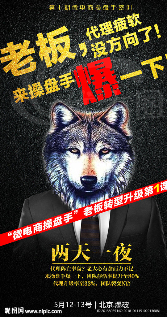 动物海报