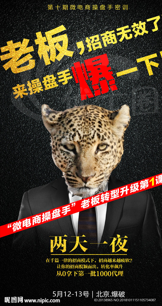 动物海报