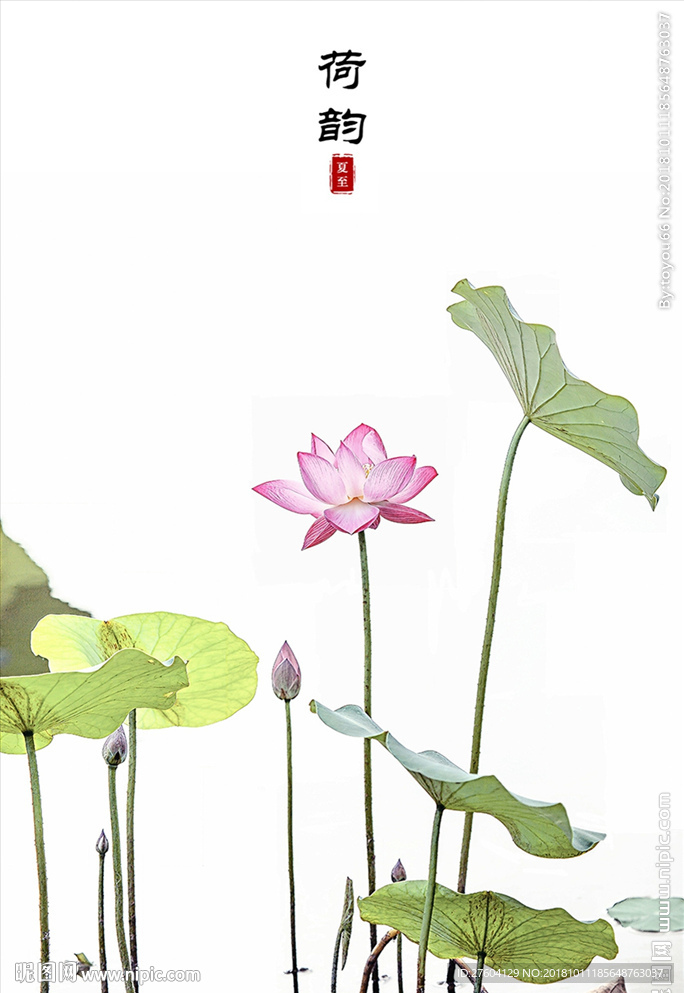 手绘素雅禅意水墨荷花装饰画