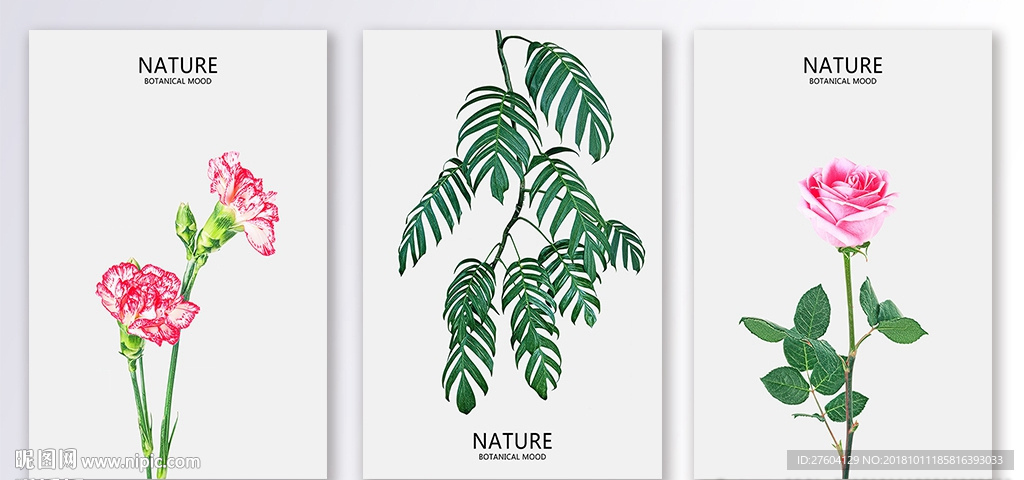 清新植物装饰画