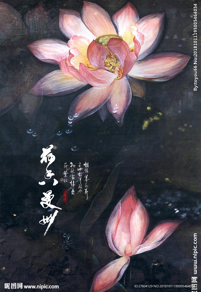 时尚精美荷花装饰画