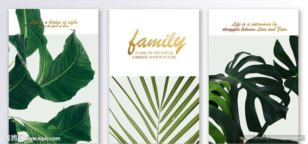 简约风热带绿植装饰画