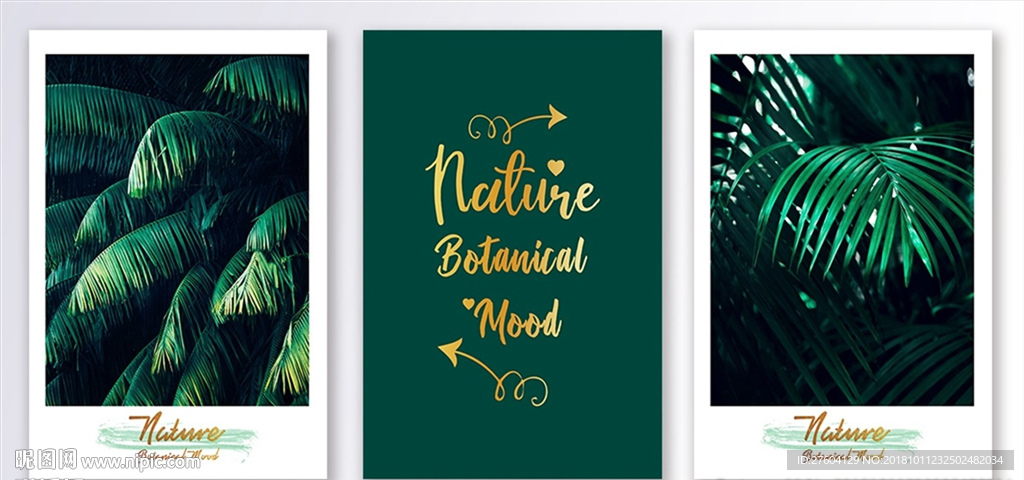 创意热带植物清新装饰画