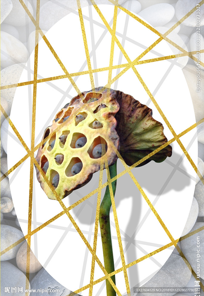 现代简约线条中心莲蓬装饰画