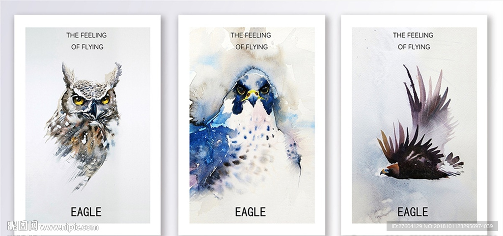水彩老鹰三联画