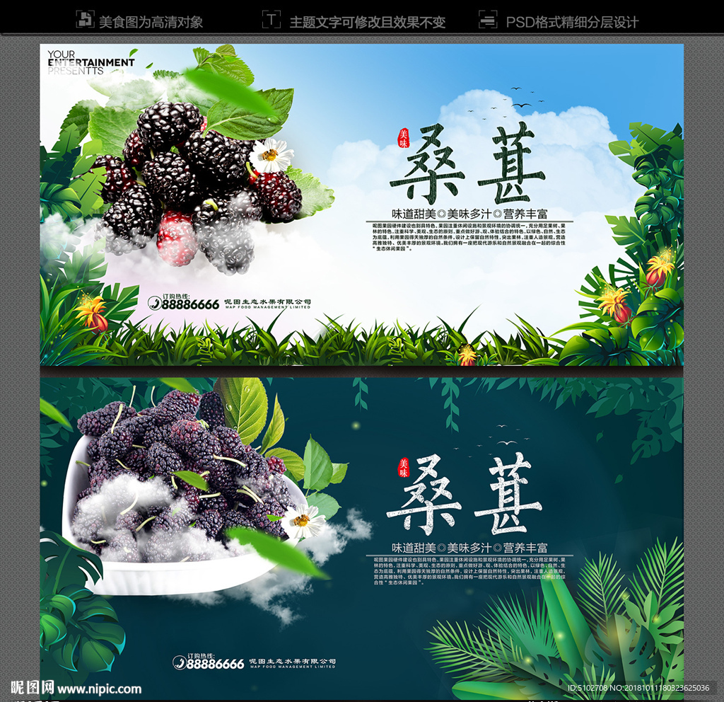 桑葚