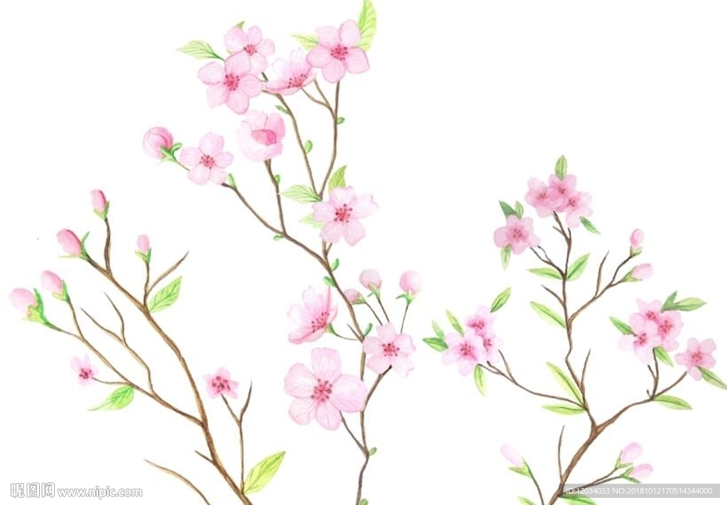 粉色花