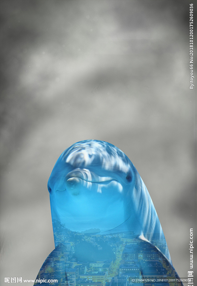 创意剪影海豚装饰画