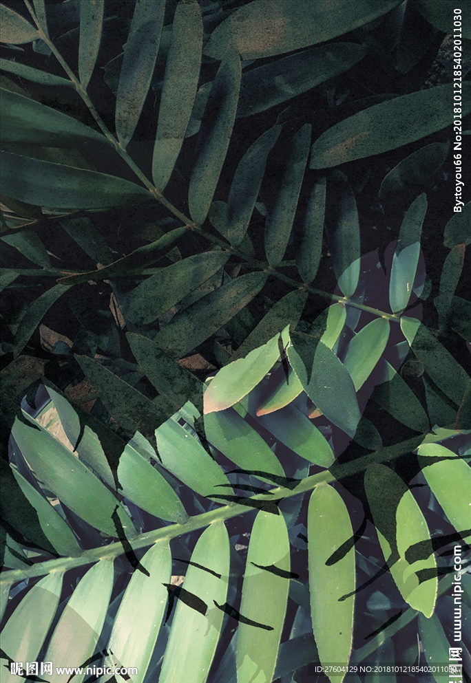 简约绿色植物装饰画