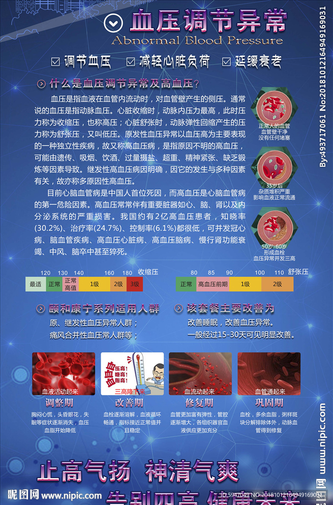 血压调节异常