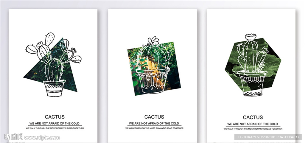 大气植物仙人掌剪影图案装饰画