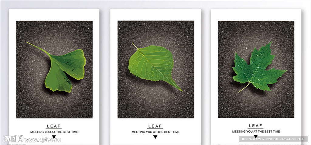 立体植物树叶图案装饰画