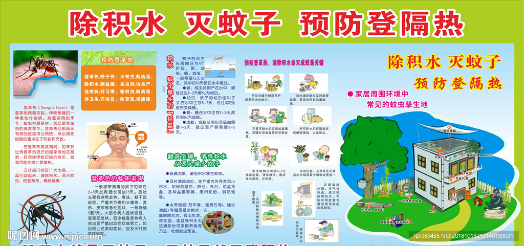 登革热宣传展画