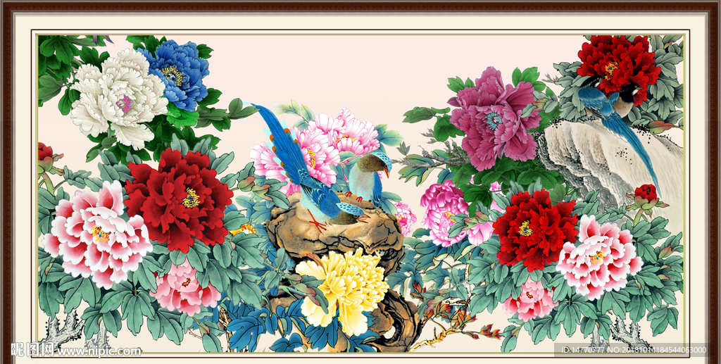 牡丹 富贵牡丹 富贵有余