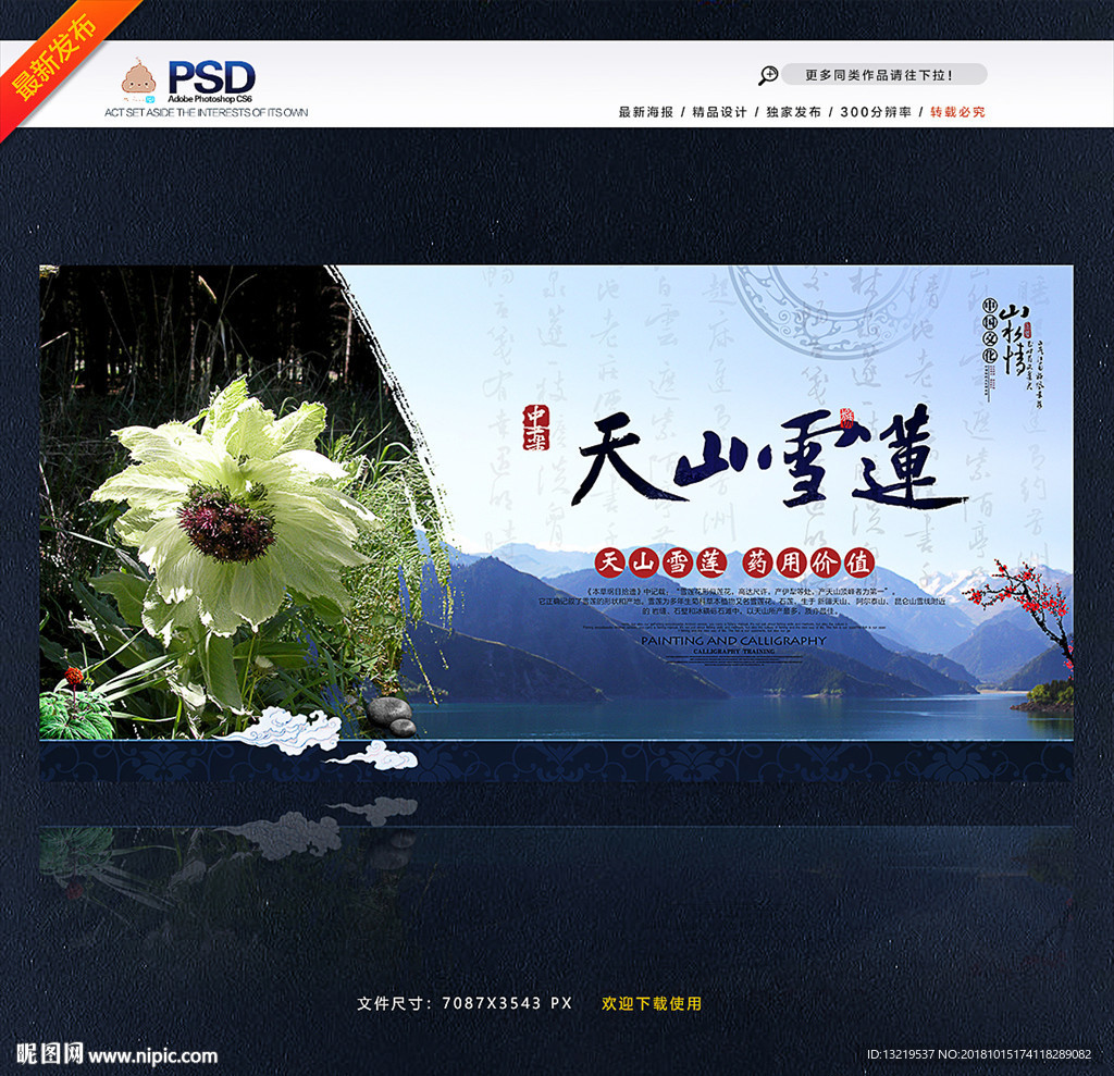 雪莲