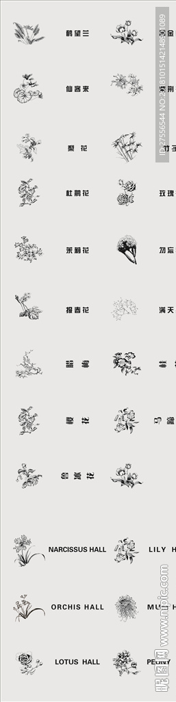 简笔画 插图 系线条图