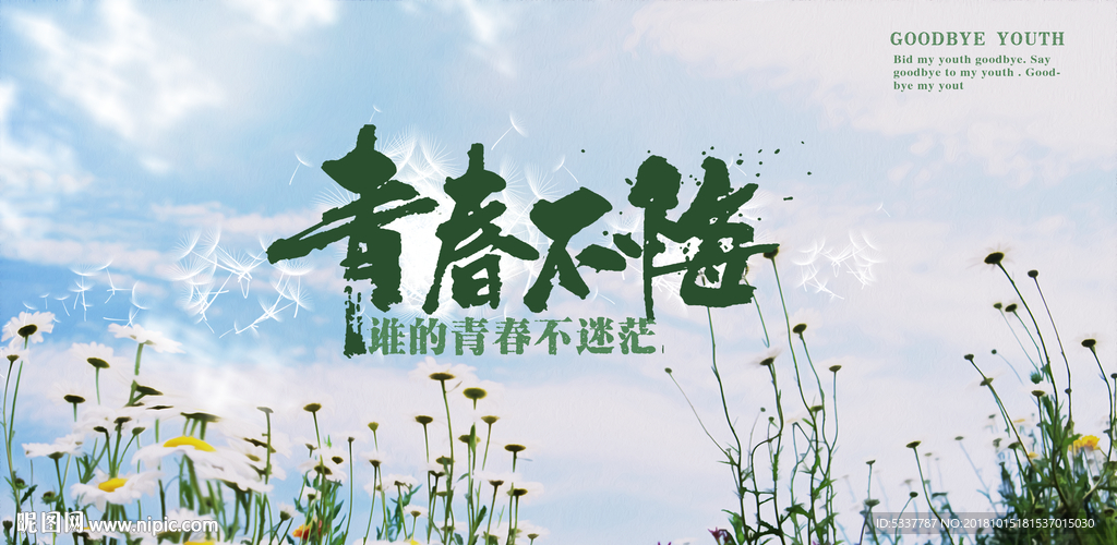 青春不悔