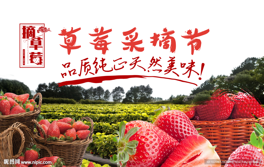 草莓采摘节海报