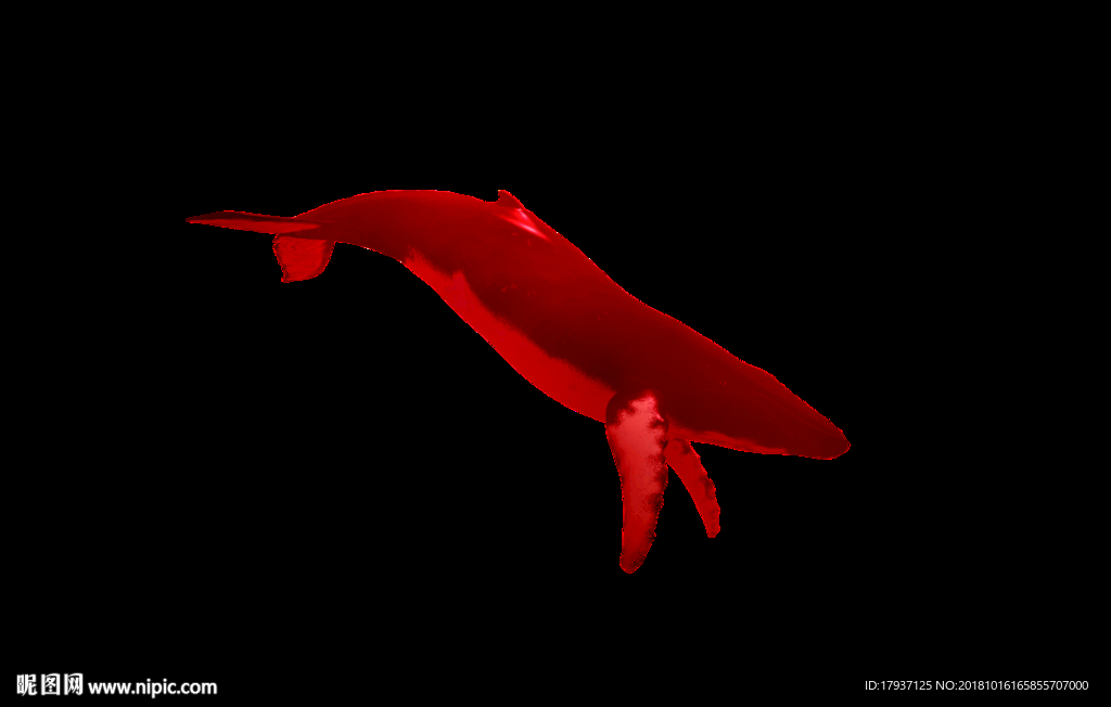 鲸鱼 红色 拼图 素材 品牌