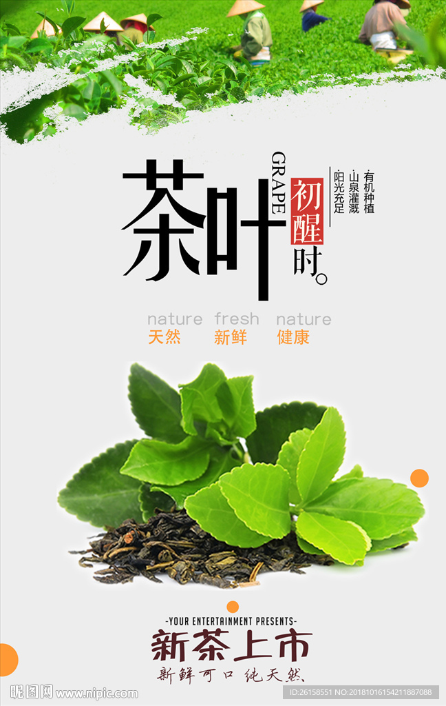 茶叶