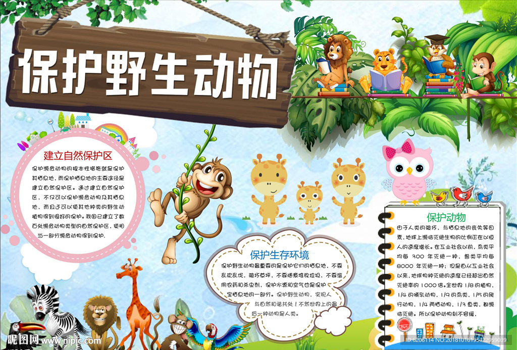 爱护动物小报