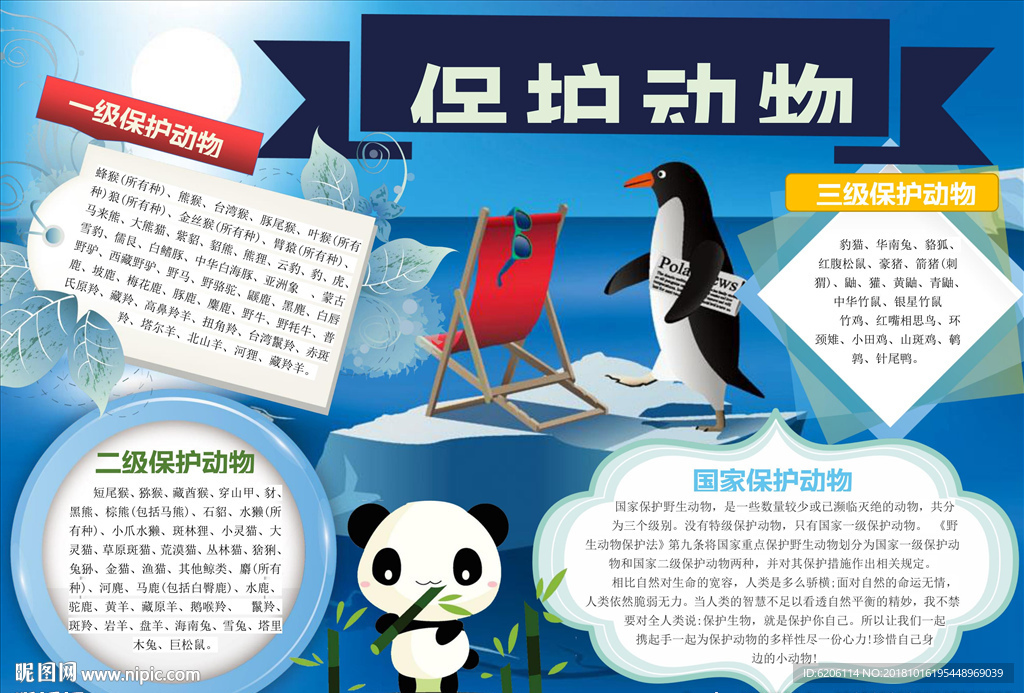 保护动物小报