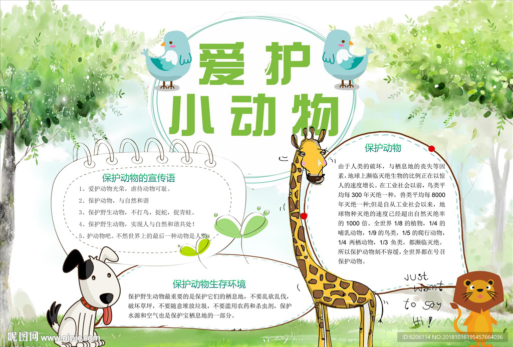爱护动物小报