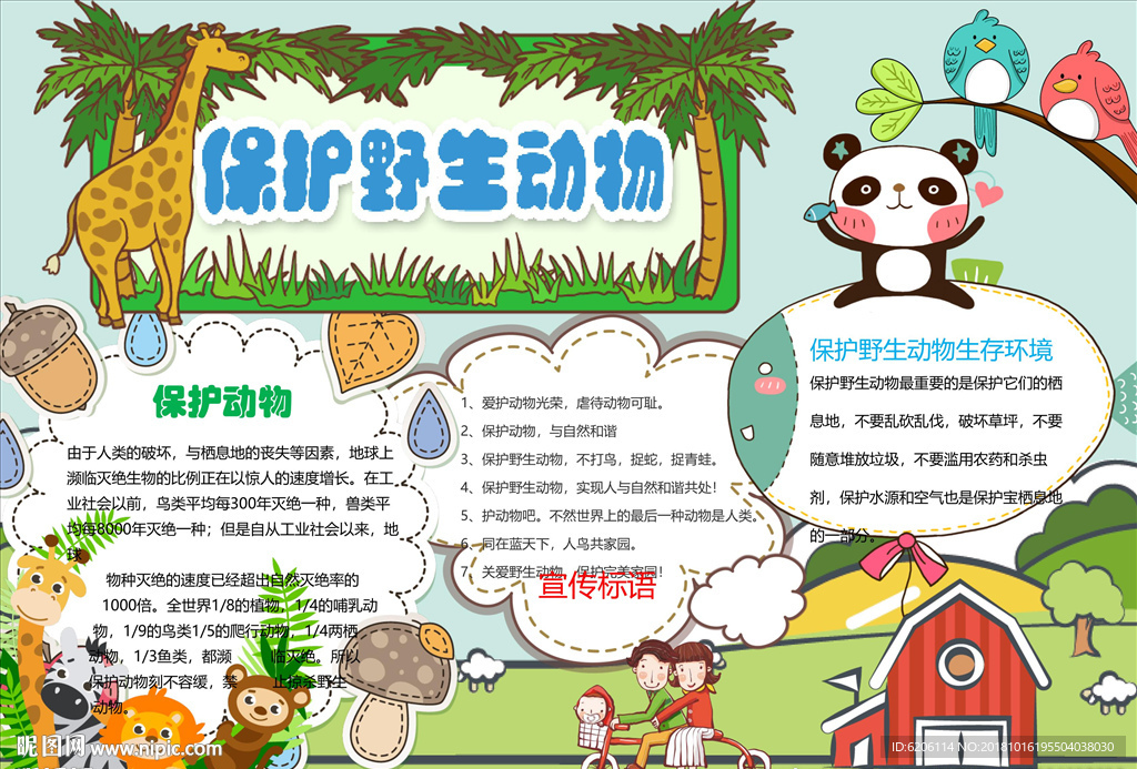 爱护动物小报
