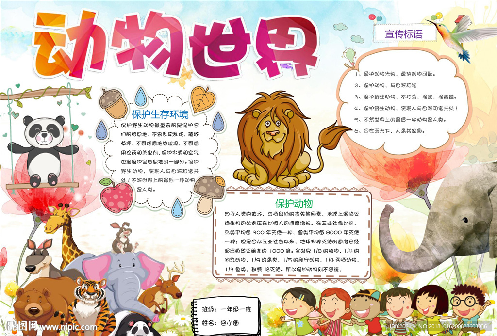 动物世界小报