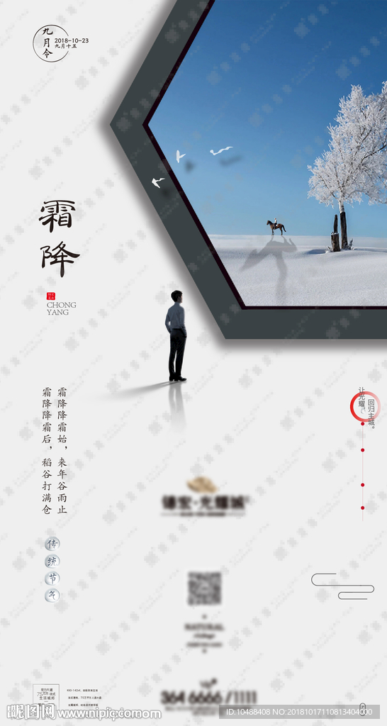 霜降 霜降图 清新广告 霜降广