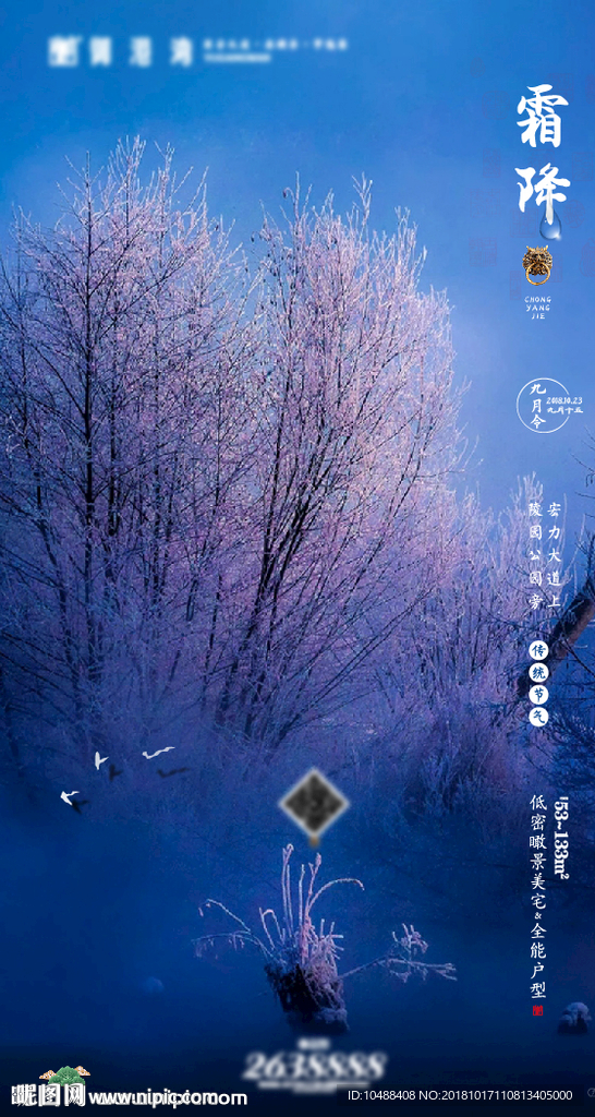 霜降 霜降图 清新广告 霜降广