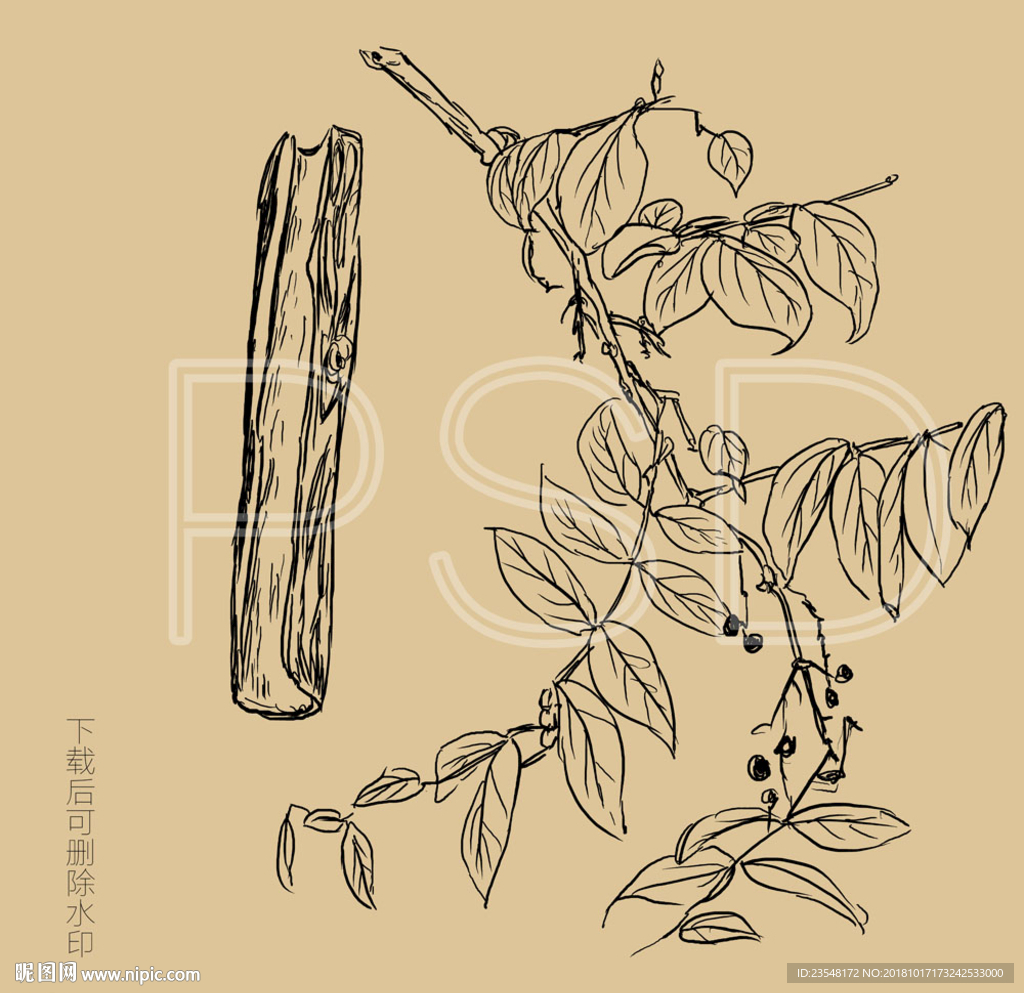 马桑