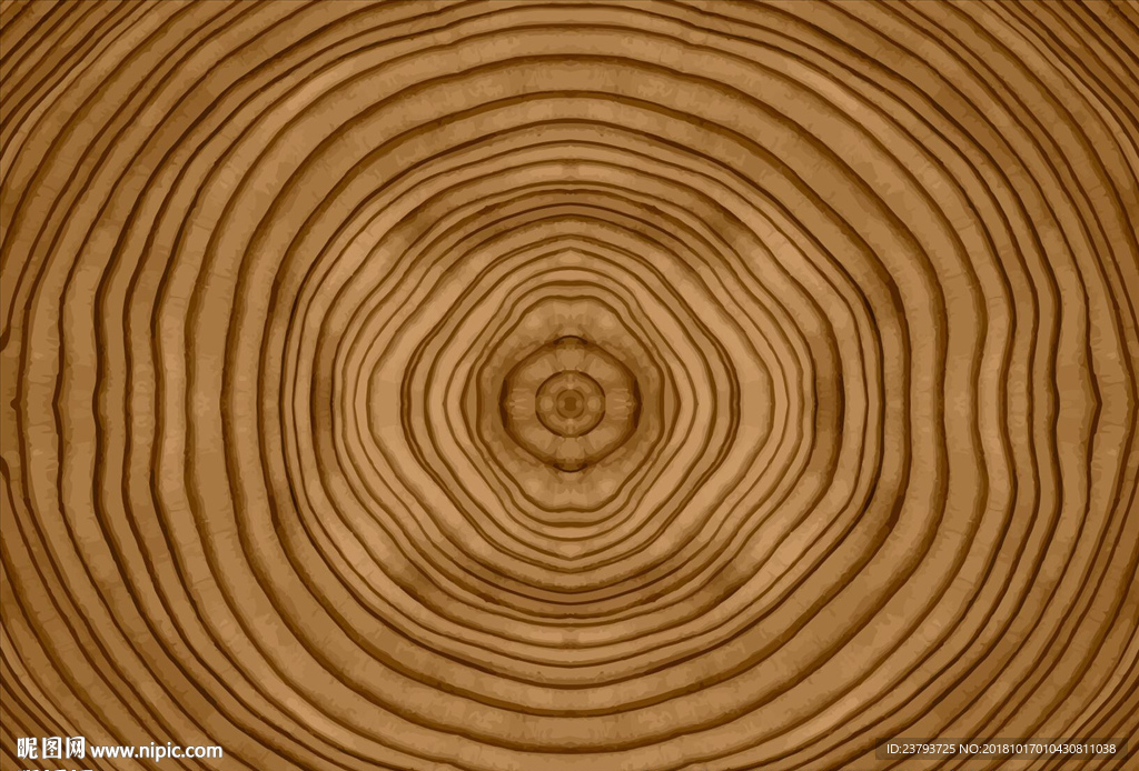 矢量年轮