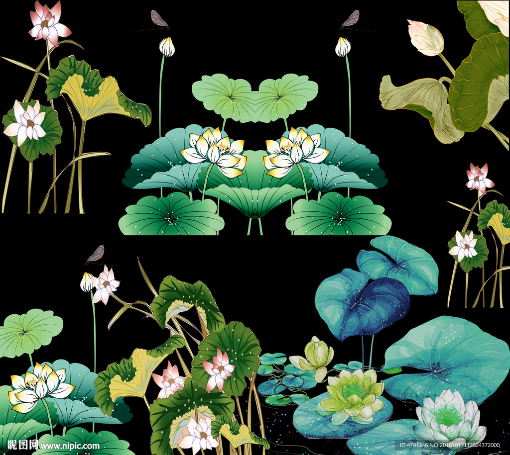 荷花
