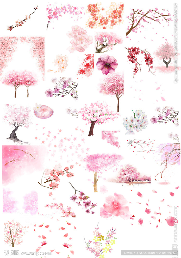 樱花桃花图片