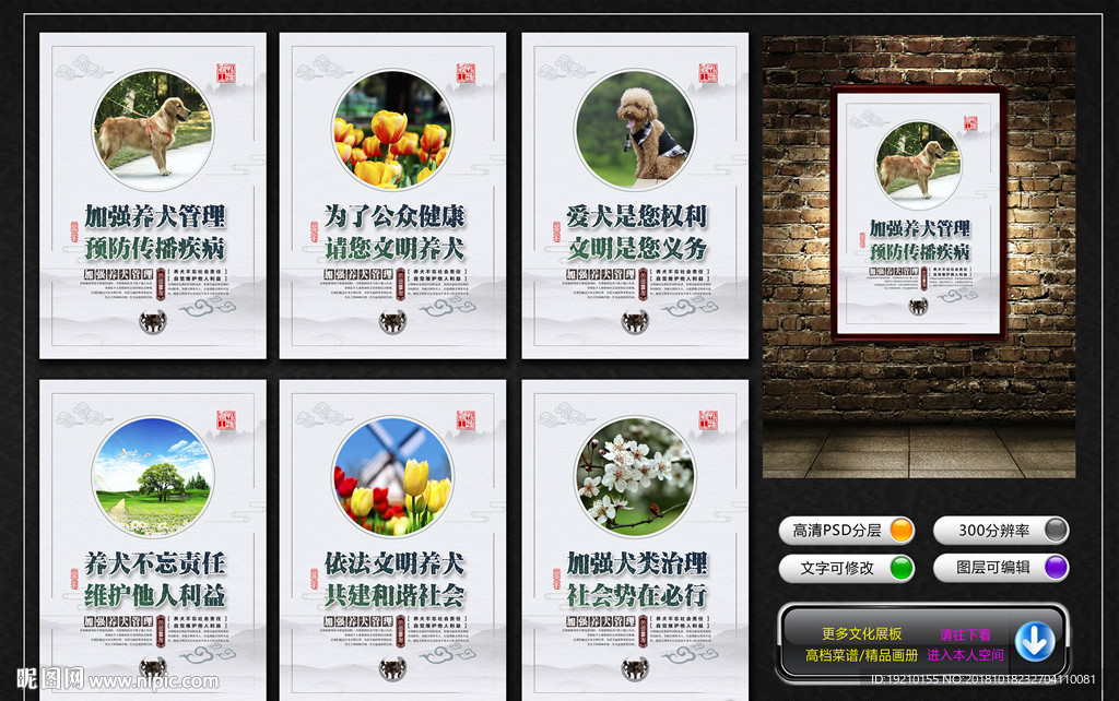 文明养犬宣传展板