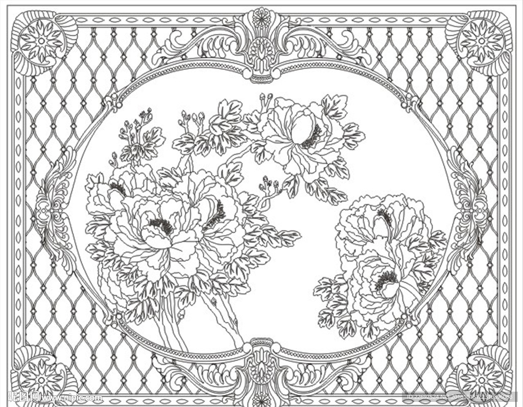 牡丹花