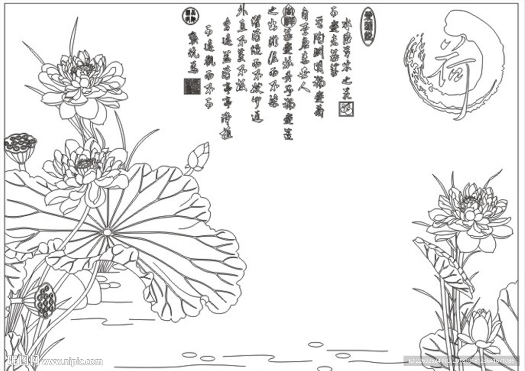 荷花