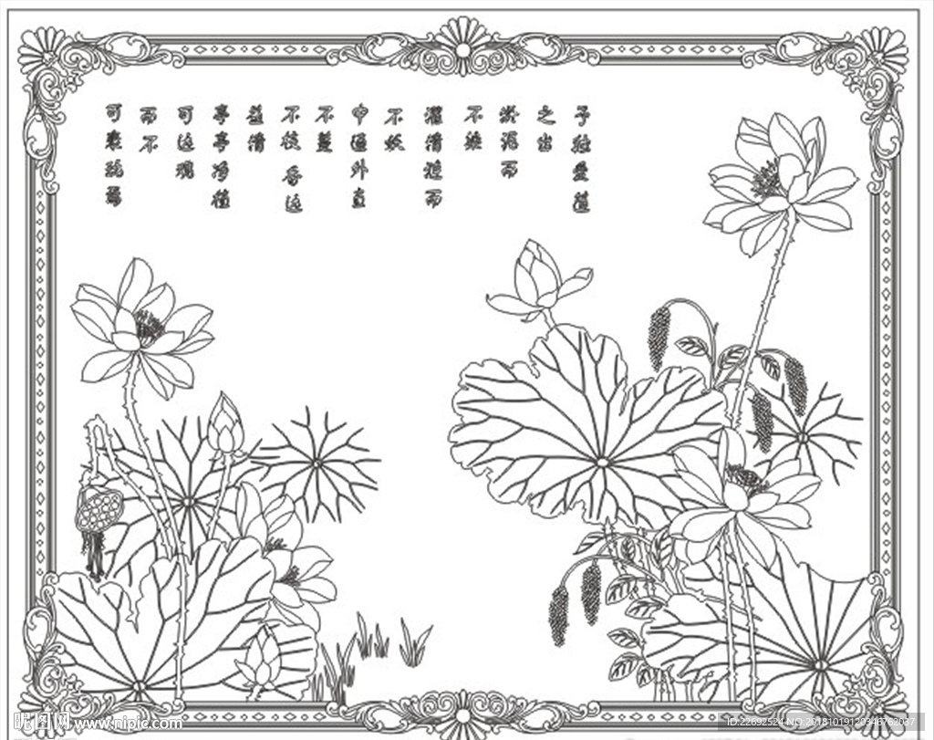 荷花