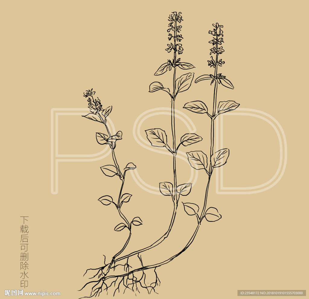 瘦风轮