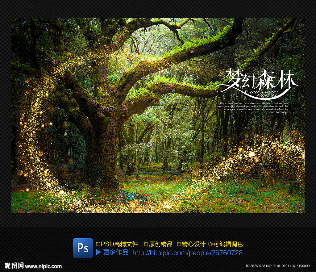 梦幻森林