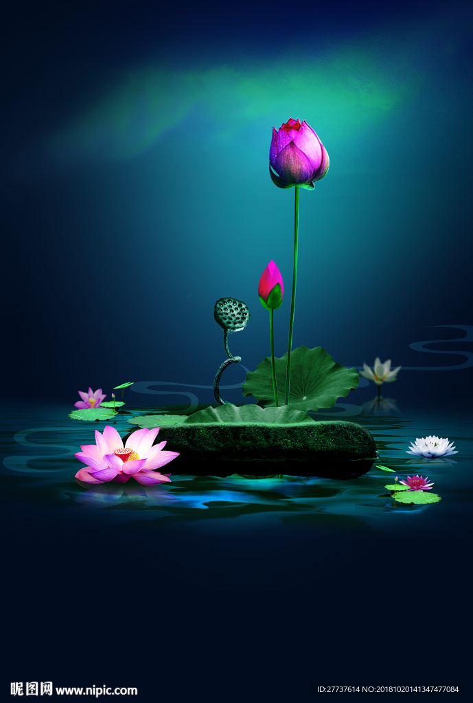 中国风莲蓬荷花