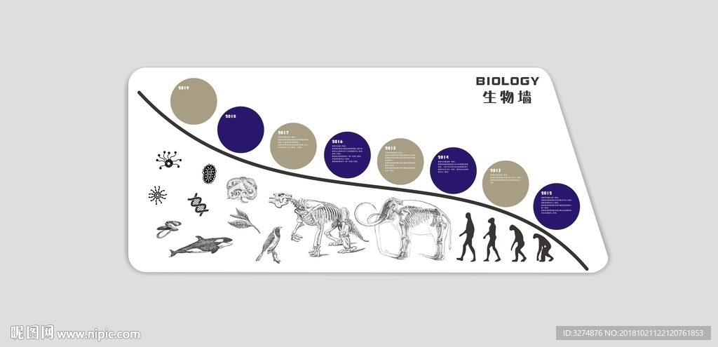 生物文化墙
