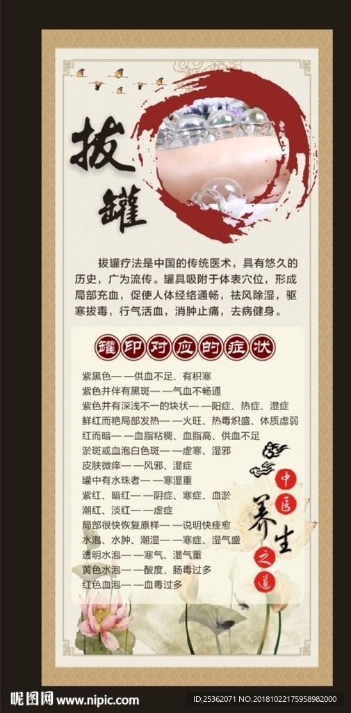 拔罐展架